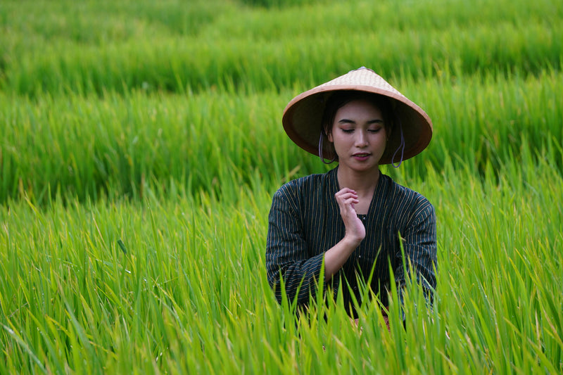 AAPI Heritage Month: Honoring History, Humanity, and the Many Stories That Shape America