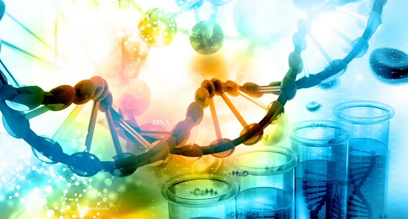 Epigenetics Explained