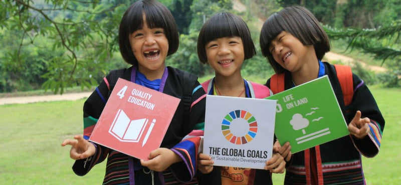A Look at the 17 Sustainable Development Goals