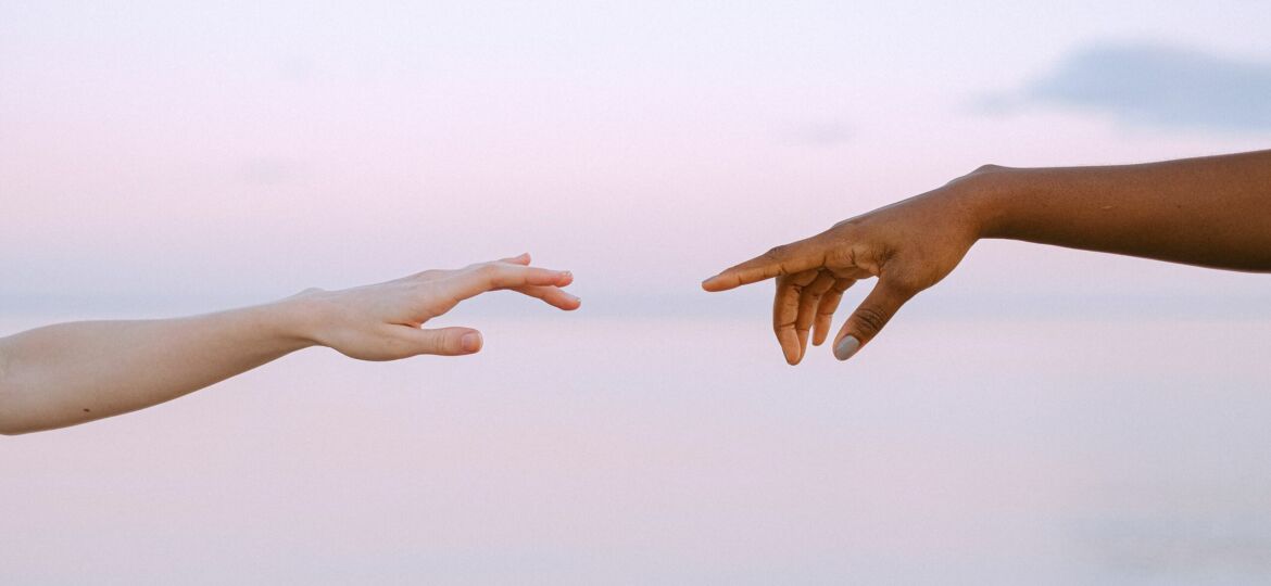 The Evolution of Beauty