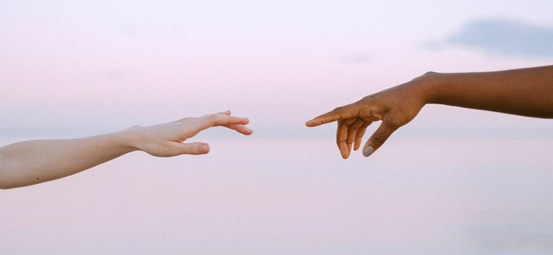 The Evolution of Beauty