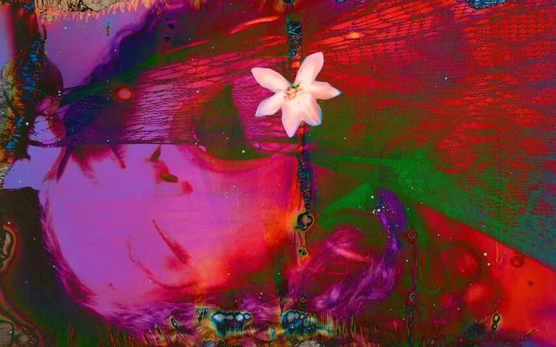 ￼The Meaning of Dreams