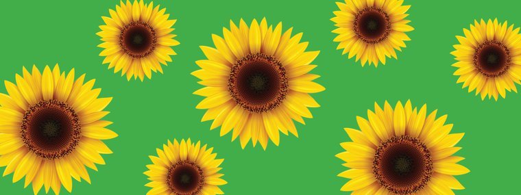 The Hidden Disability Sunflower Pattern